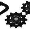 SRAM Innerer Käfig Mit Rollen Für X01 / X1 Schaltwerk -Fahrradzubehör 129268