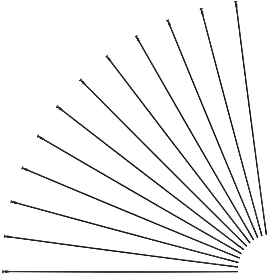 Mavic Aksium Allroad Disc 700 Ersatzspeichen Modell 2018 3 Mavic Aksium Allroad Disc 700 Ersatzspeichen Modell 2018