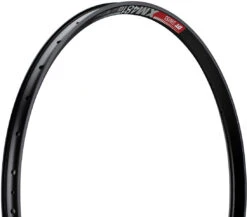 Dt-swiss XM 481 Disc 29" Felge