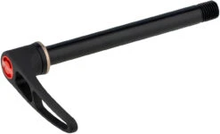 Dt-swiss RWS Road Steckachse Mit Schnellspannhebel -Fahrradzubehör 348242